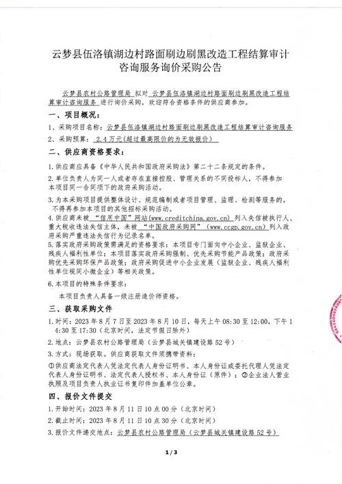 云梦县伍洛镇湖边村路面刷黑改造工程结算审计咨询服务询价采购公告
